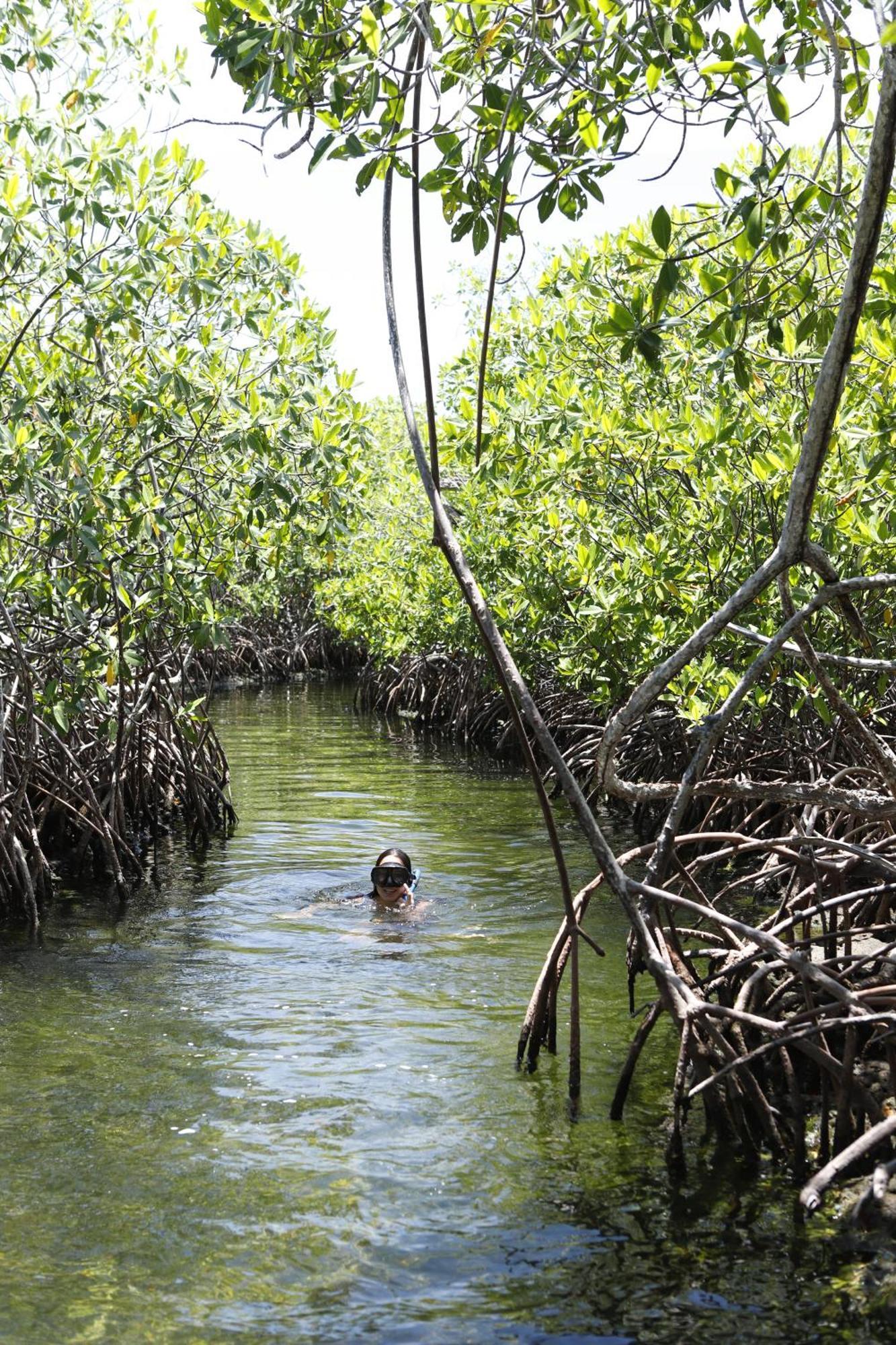 Cabana Salsipuedes Tintipan Island 外观 照片