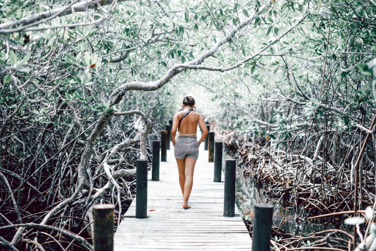 Cabana Salsipuedes Tintipan Island 外观 照片